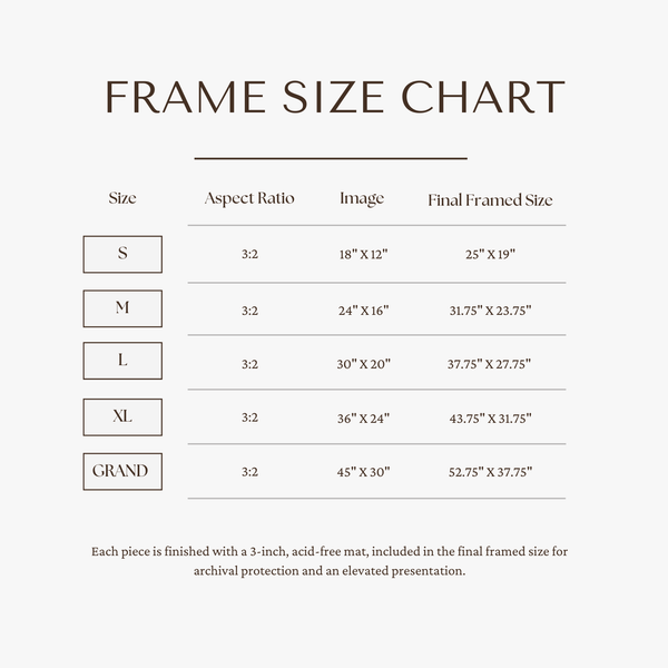 Frame size chart with dimensions for different size categories.