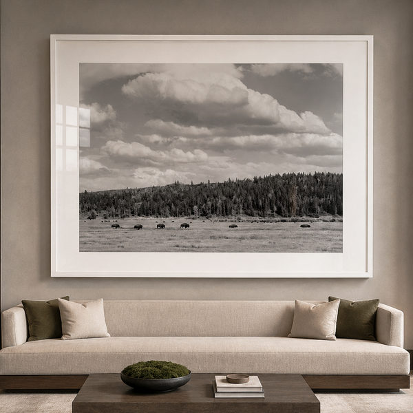 Bison Under A Western Sky