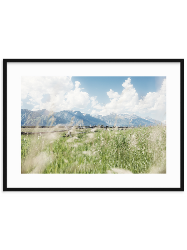 Rustic Summer