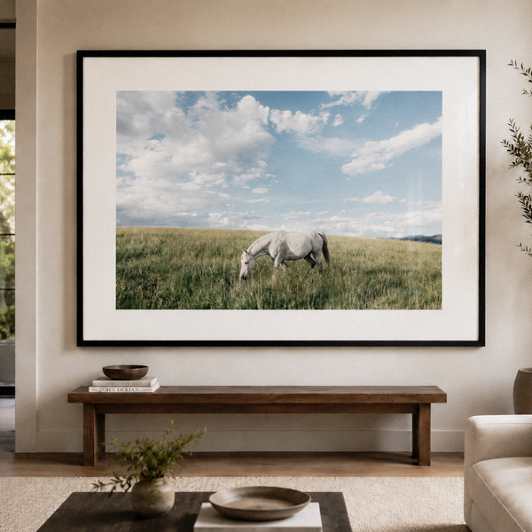 White Horse in Cloud Country
