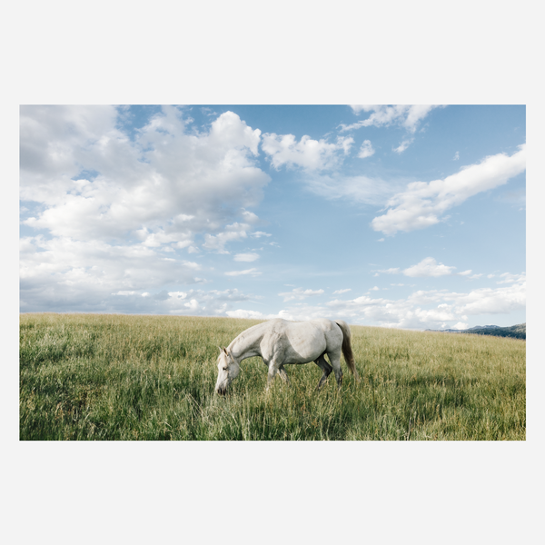 White Horse in Cloud Country