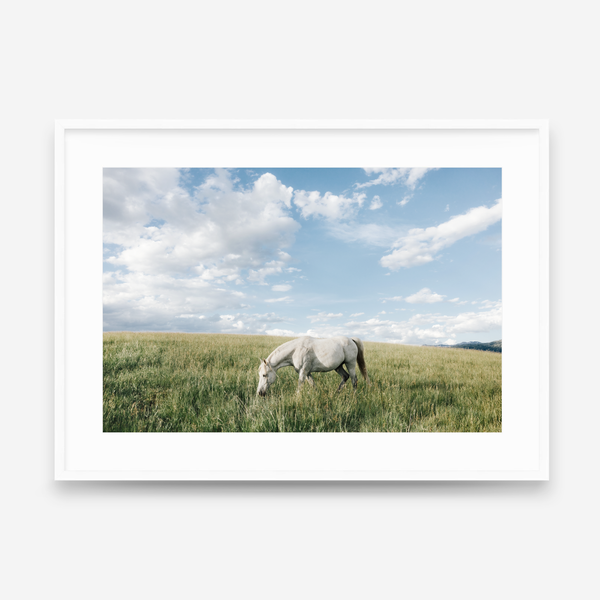 White Horse in Cloud Country