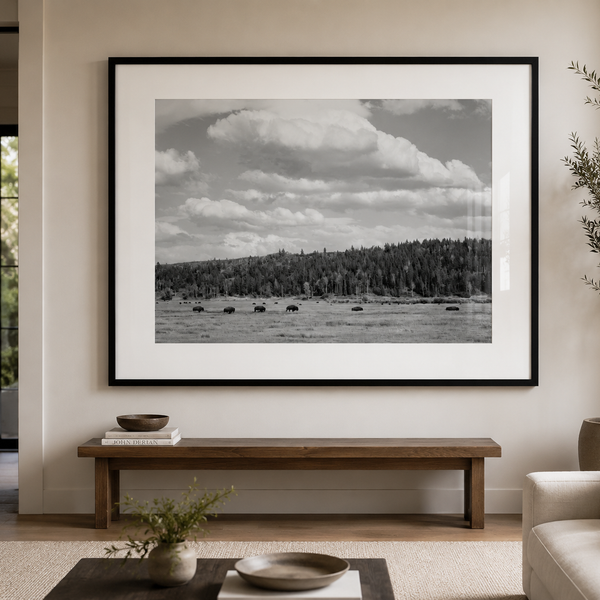 Bison Under A Western Sky