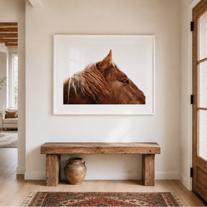 Framed picture of a horse head on a wall above a wooden bench in a room.