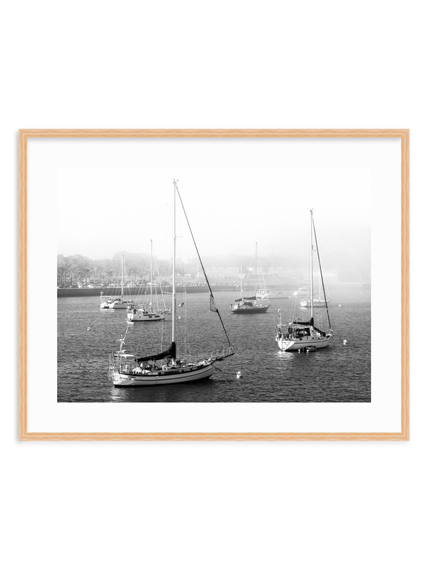 Harbor of Haze