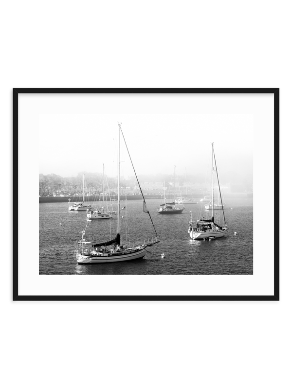 Harbor of Haze