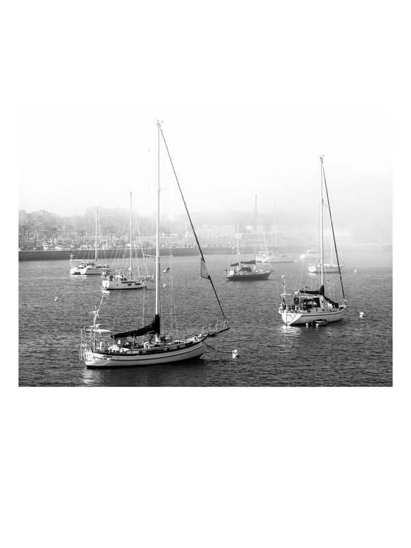 Harbor of Haze