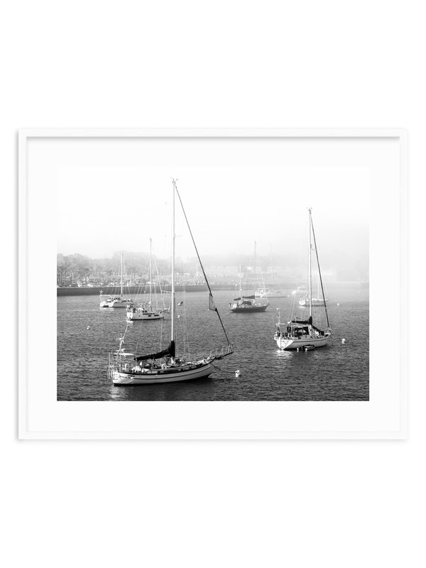 Harbor of Haze