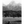 Morning Graze BW