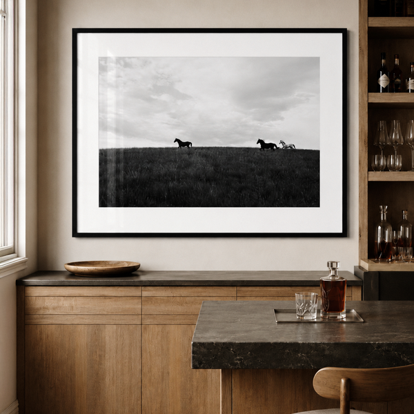 Open Country