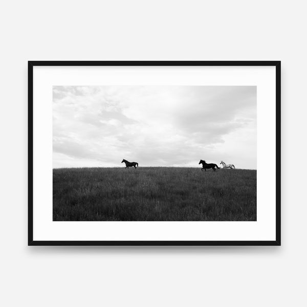 Open Country
