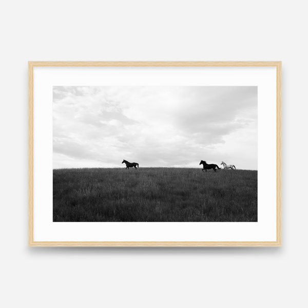 Open Country