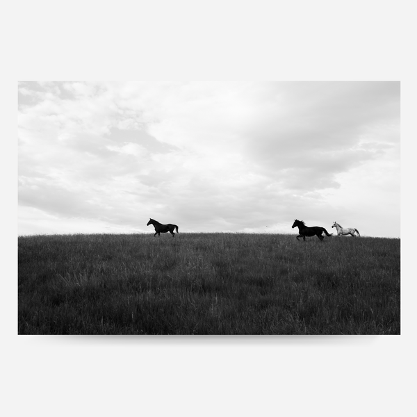 Open Country