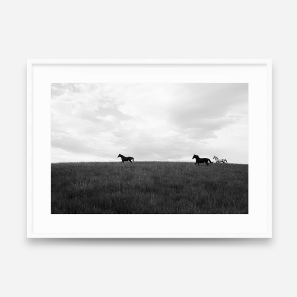 Open Country
