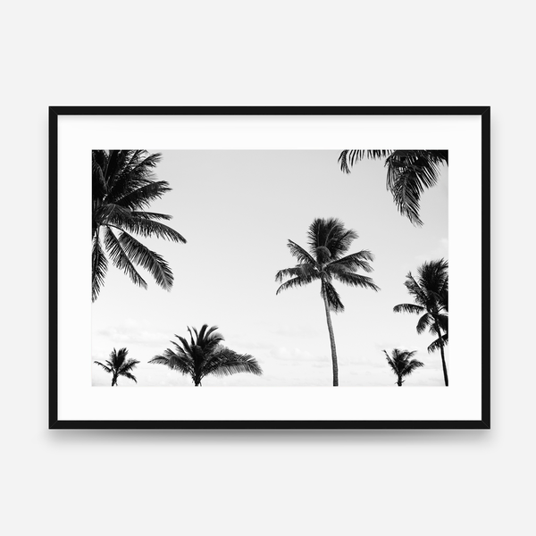 Black and white palm canopy fine art print with tropical palm trees and open sky, perfect for modern coastal interiors.