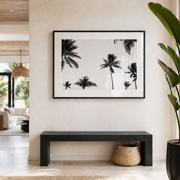 Palm Canopy