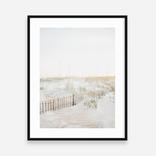Quiet Dunes