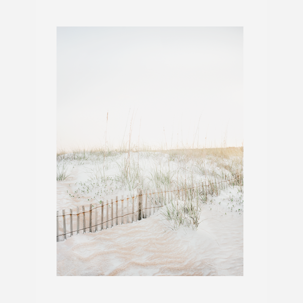 Quiet Dunes
