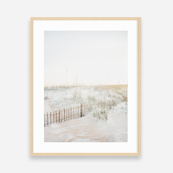 Quiet Dunes