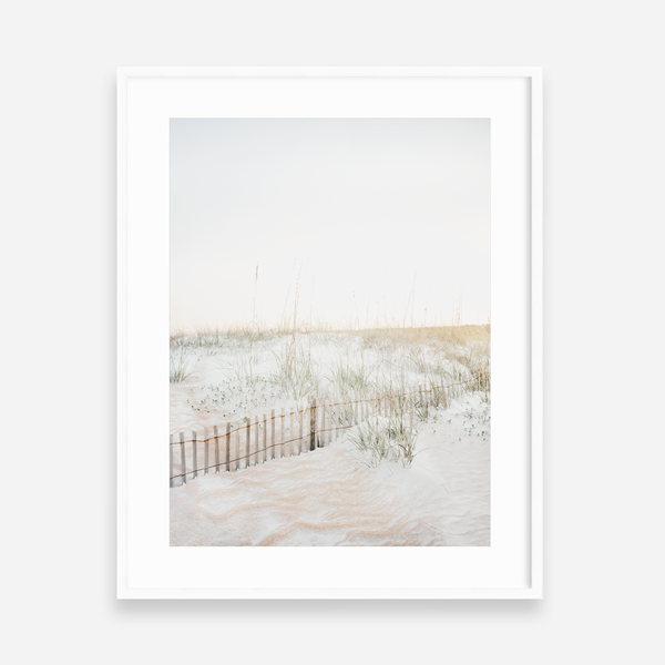 Quiet Dunes