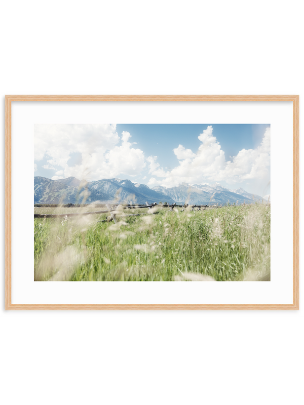Rustic Summer
