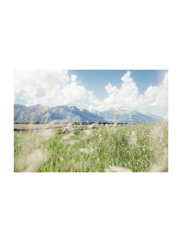 Rustic Summer