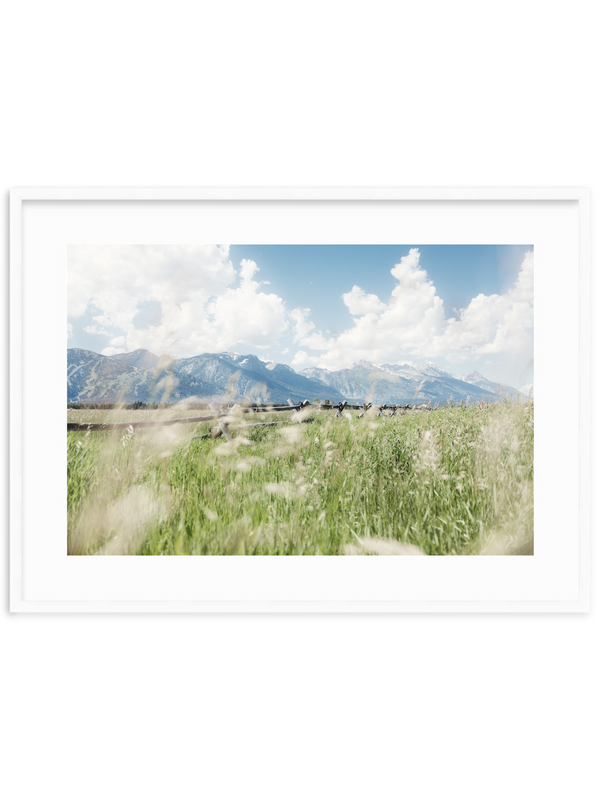 Rustic Summer