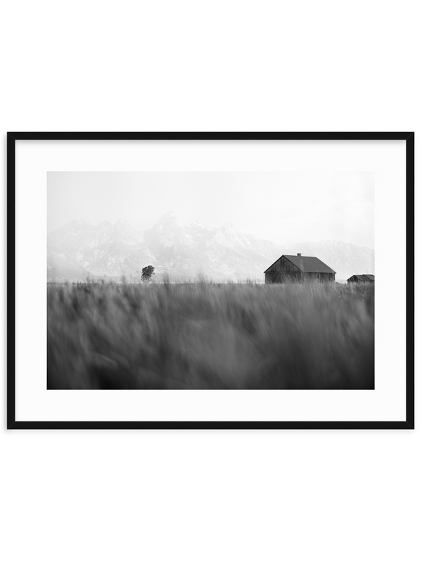 What Might Have Been BW
