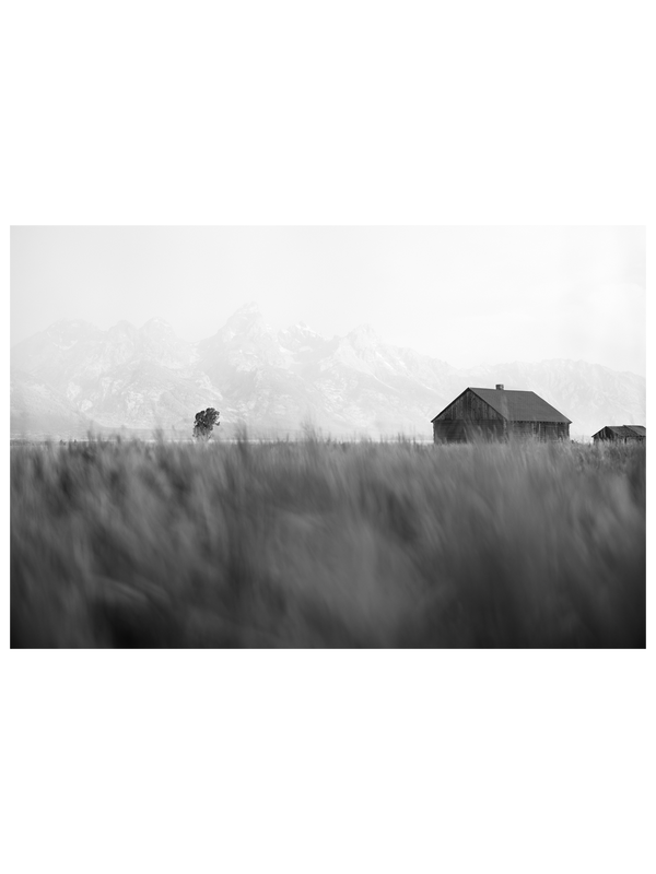 What Might Have Been BW