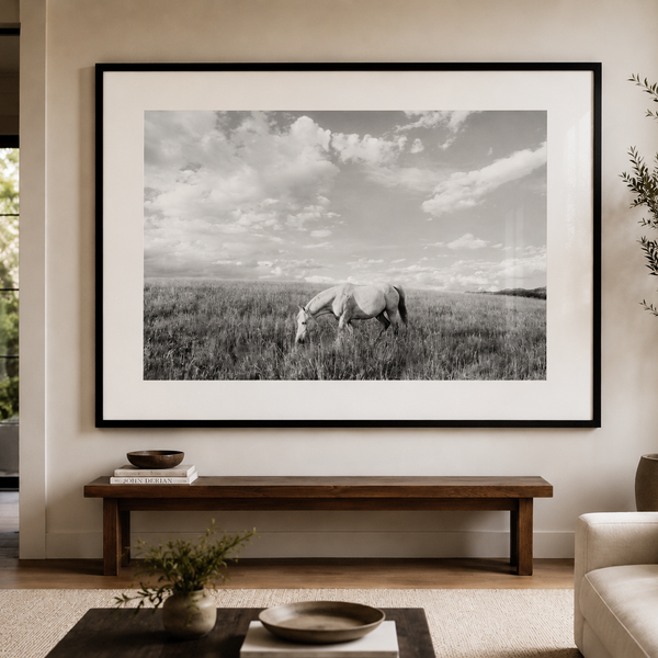 White Horse in Cloud Country BW