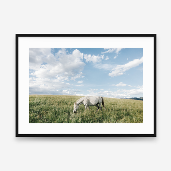 White Horse in Cloud Country
