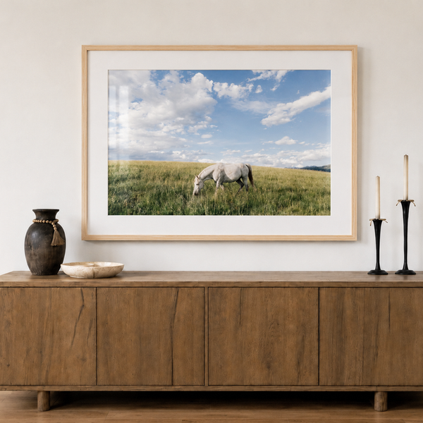 White Horse in Cloud Country