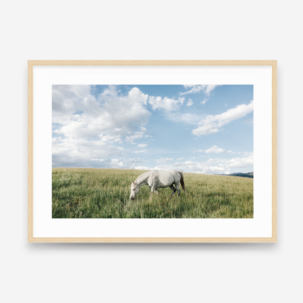 White Horse in Cloud Country